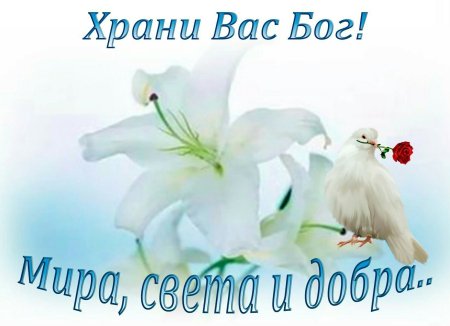 Мира и добра