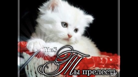 Прелесть открытка