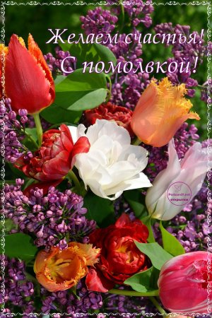 С днем Помолвки поздравления