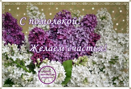Поздравляем с помолвкой открытки