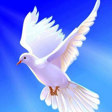 Голубь памяти