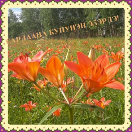 Торообут куннунэн
