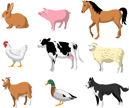 Домашние животные для детей