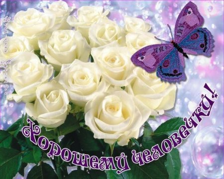Цветы хорошему человеку