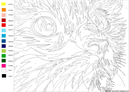 Раскраска по номерам