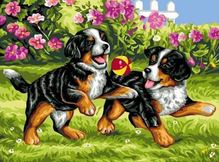 Рисование по номерам