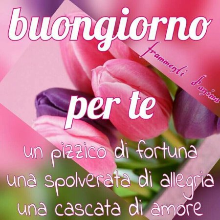 Buongiorno Caro картинки