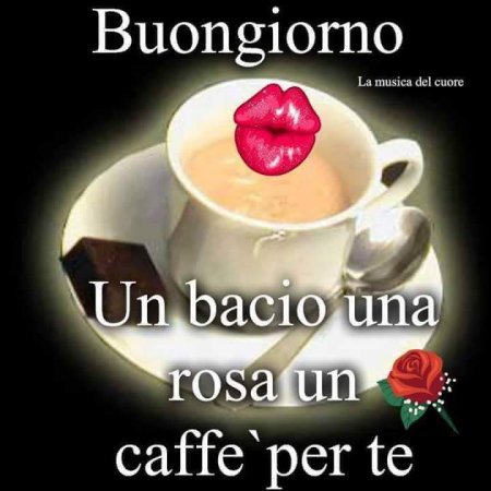 Гифки _ buongiorno !