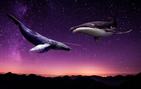 Космический кит