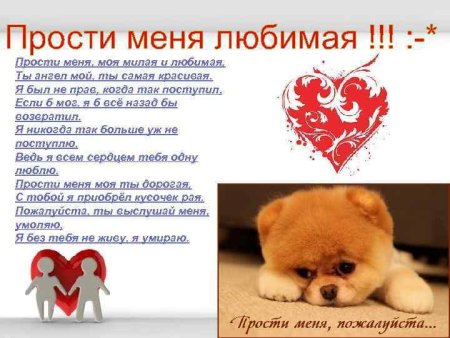 Прости меня любимая
