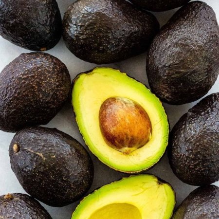 Авокадо Зутано