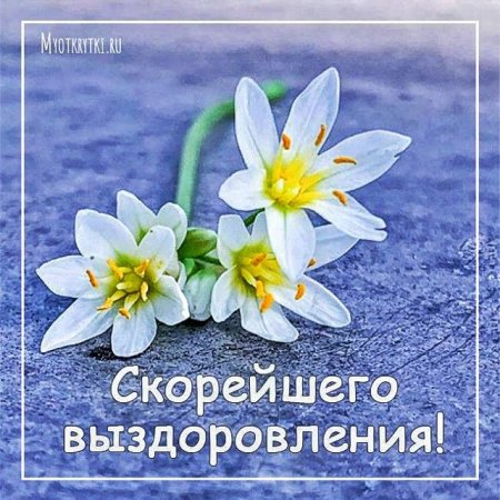 Скорейшего выздоровления картинки