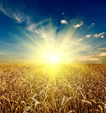 Солнце рассвет