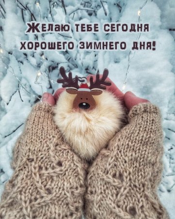Хорошего зимнего дня