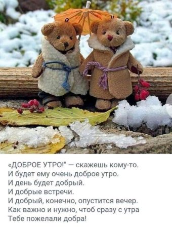 Доброе утро цитаты