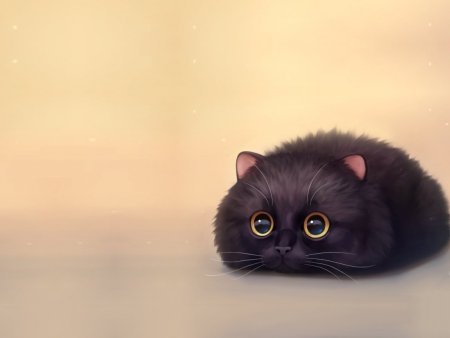 Милые животные на темном фоне