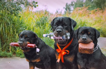 Друзья прикольные картинки