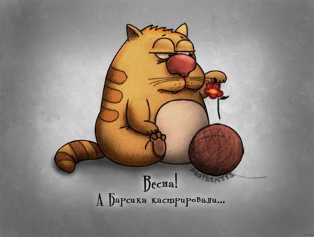 Забавные рисунки с надписями