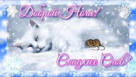 Зимней ночи сладких снов