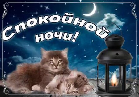 Доброго вечера и спокойной ночи
