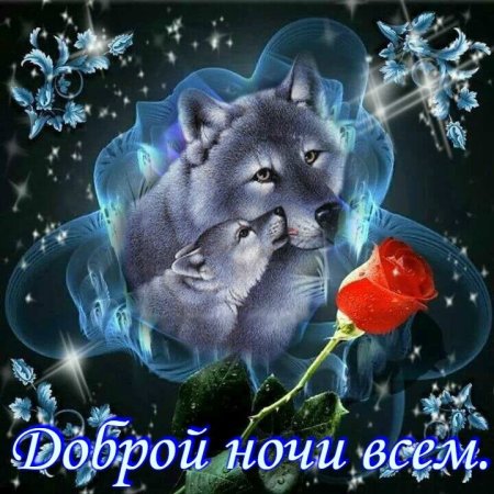 Доброй ночи