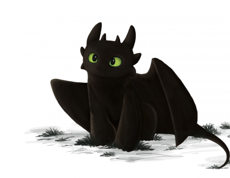 Драконы и всадники Олуха ночная фурия