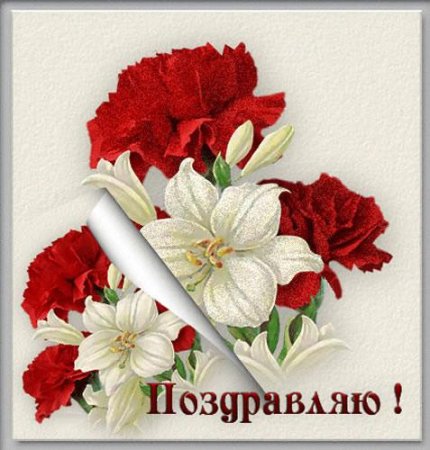 Поздравление с нпгрпдой