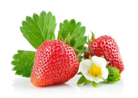 Клубника на белом фоне
