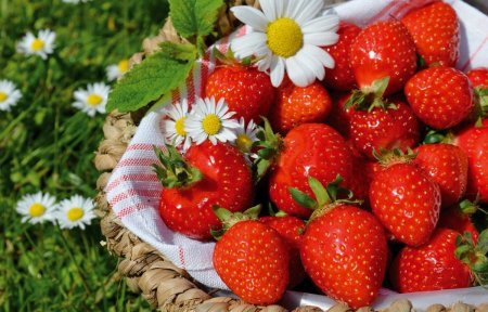 Корзина с клубникой