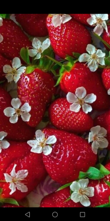 Много клубники