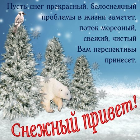 Поздравления на снегу