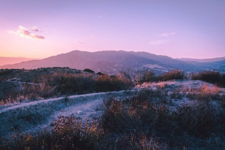 Эстетические пейзажи