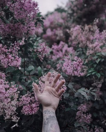 Эстетика прекрасного