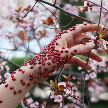 Эстетически красивое