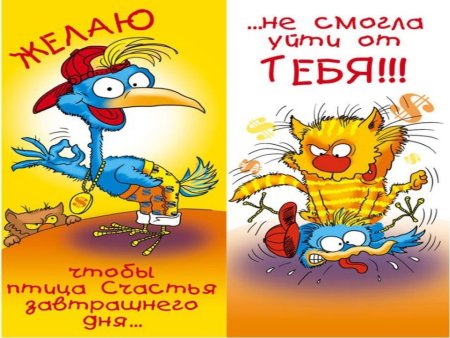 Открытки с днём рождения Сергей прикольные