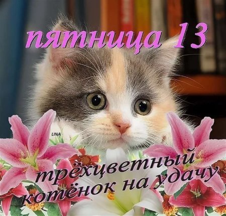 Пятница 13 открытки