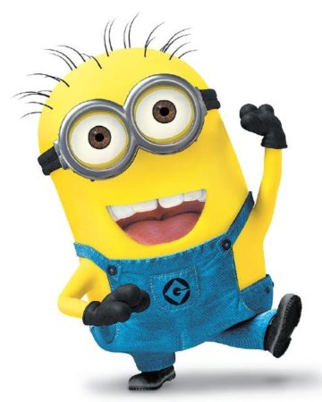 Миньон в цвете