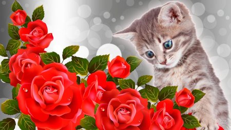 Открытка «котики»