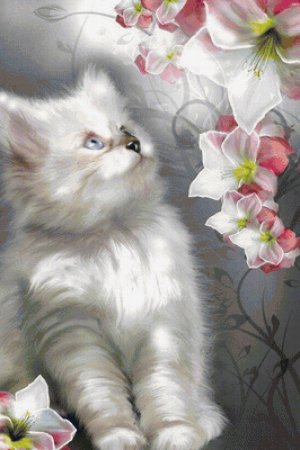 Красивые котята с цветами