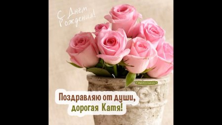 С днём рождения Катя розы