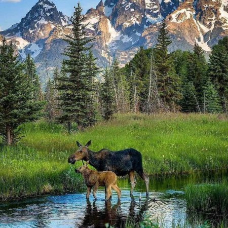 Национальный парк Гранд-Титон, США