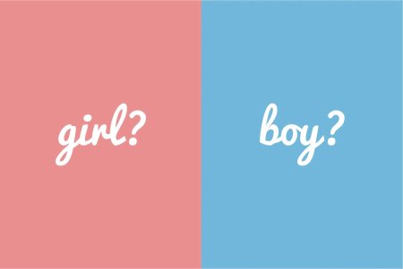 Gender Party фон