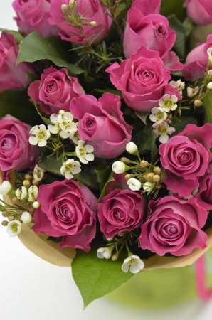 Красивые цветы