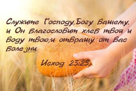 Стихи из Библии в картинках