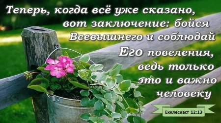 Стихи из Библии