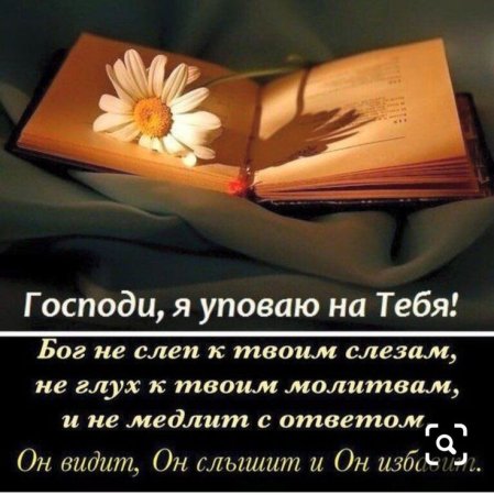 Добрые пожелания из Библии