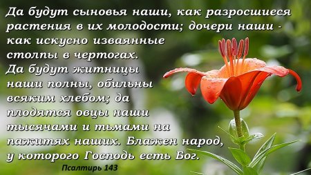 Открытки с библейскими стихами