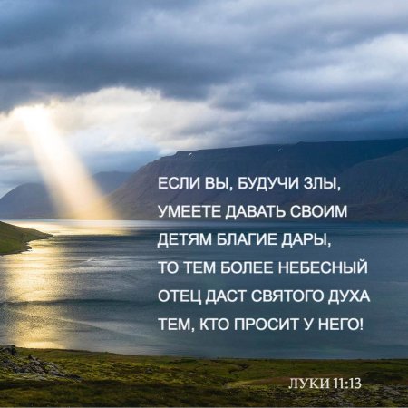 Стихи из Библии