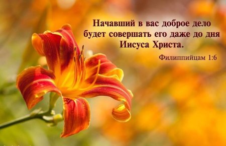Библейские обетования благословения