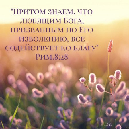 Красивые места из Библии